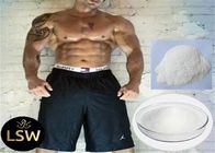 99% White Raw Steroids Powder Testosterone Anabolic Steroid Testosterone Base CAS 58-22-0 For Weight Loss
