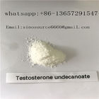 Injectable Testosterone Anabolic Steroid Testosterone Undecanoate For Bodybuilging CAS 5949-44-0